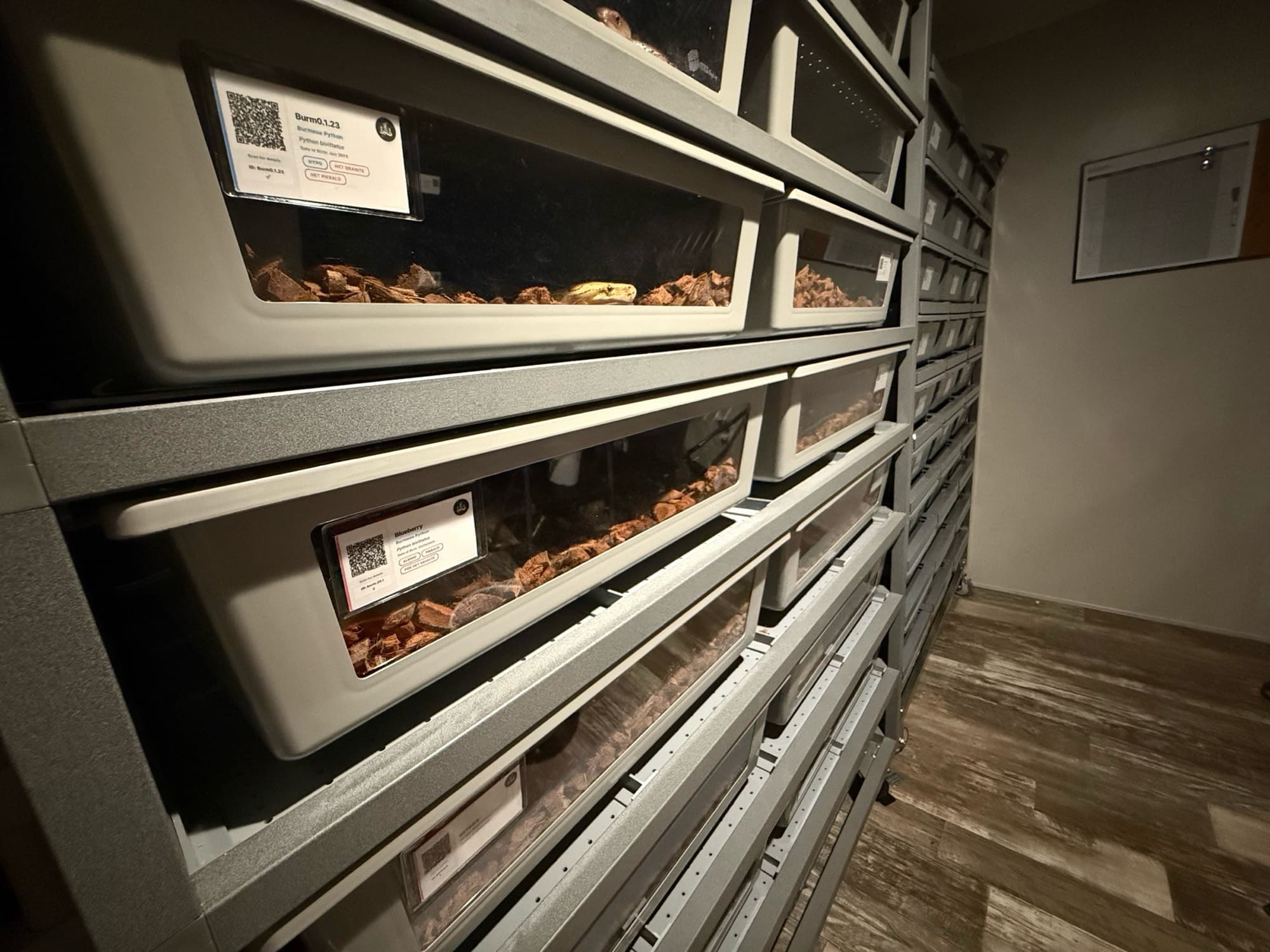 A keeper using Scutely to track their reptile collection