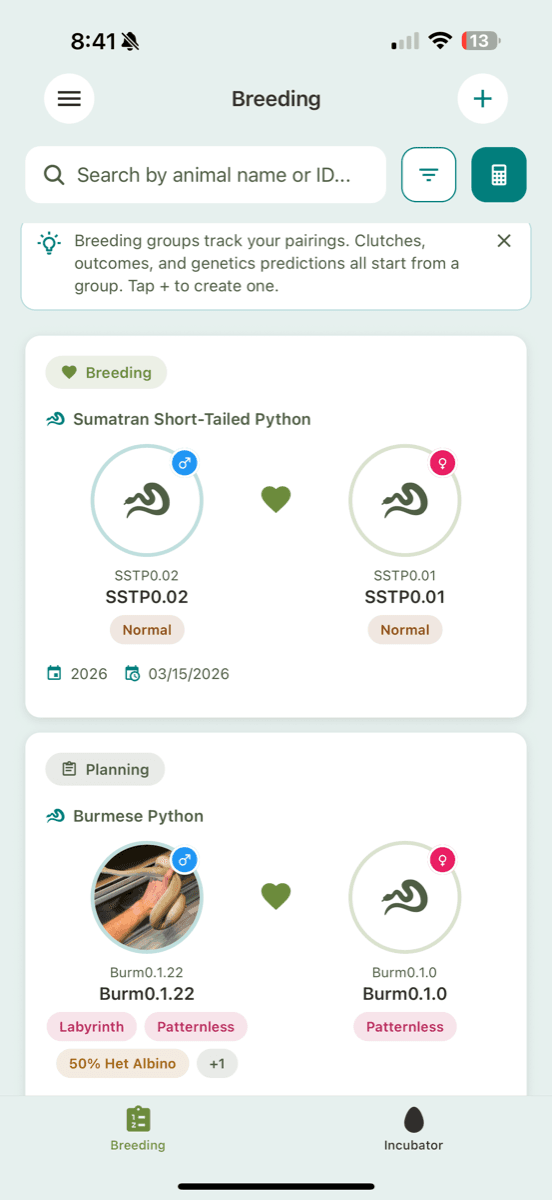 A breeding group with pairings and events in the Scutely app