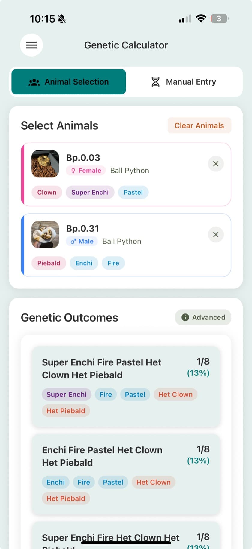 The genetic calculator showing both parents' traits and predicted offspring odds in the Scutely app