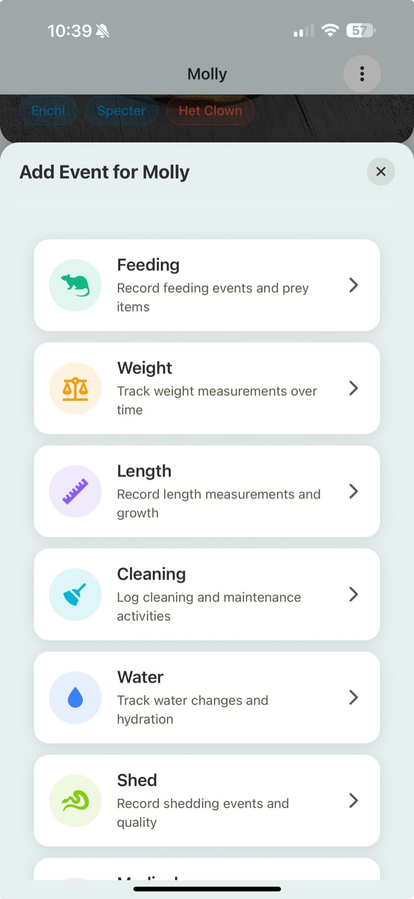 Logging a feeding with prey type, quantity, and supplements in the Scutely app
